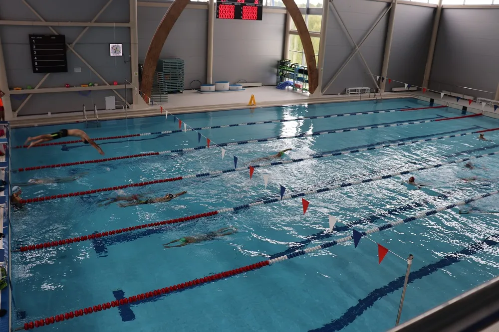 Шнур с флажками поворота