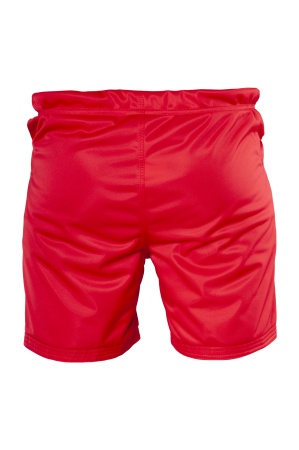 Шорты для боевого самбо FIAS