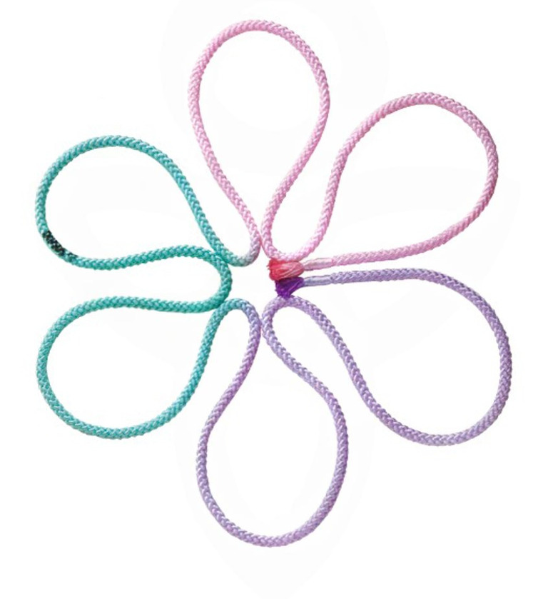 Скакалка SASAKI M-280G-F 3м LIPxPEGxLD LightPinkxPeppermintGreenxLavender