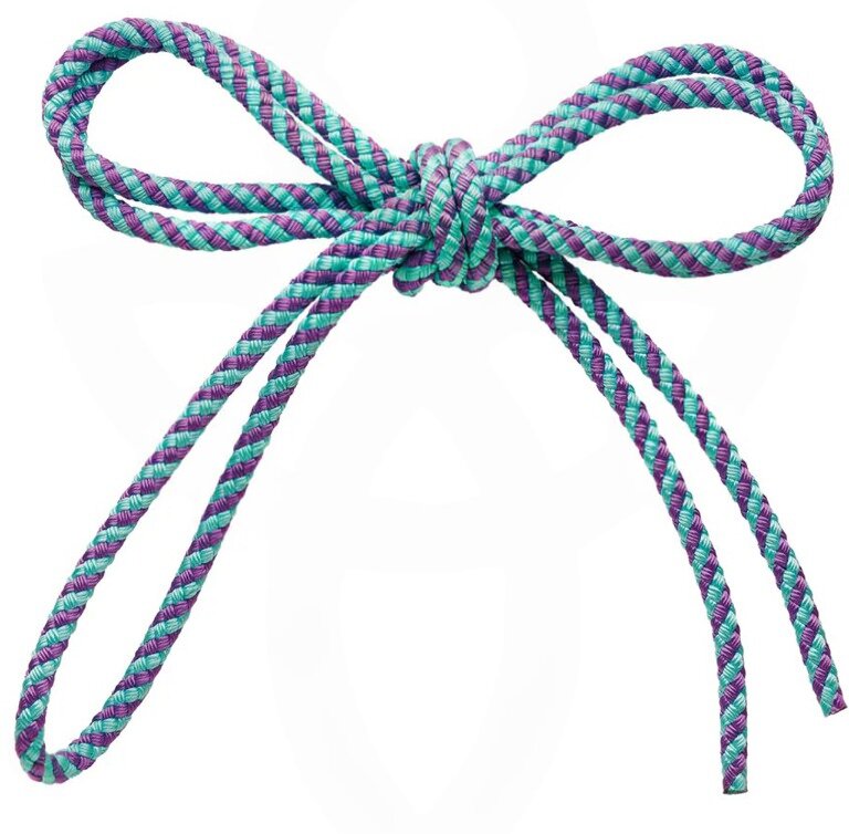 Скакалка SASAKI MJ-243 2.5м ICMIxVI IceMintxViolet